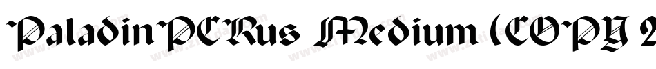 PaladinPCRus Medium (COPY 2)字体转换